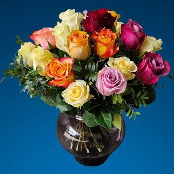 Stiftung Wunderlampe_Dreamy