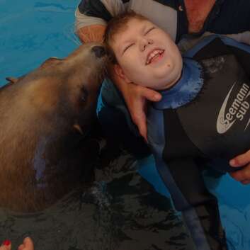 1221 Stiftung Wunderlampe_Seelöwen_1