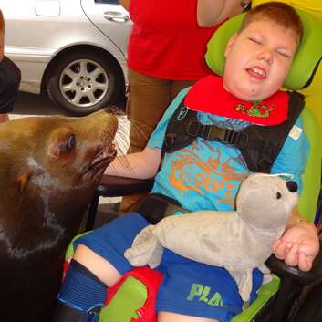 1221 Stiftung Wunderlampe_Seelöwen_2