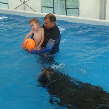 584(F) Stiftung Wunderlampe_Seelöwen_1