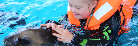 Des rêves qui se réalisent