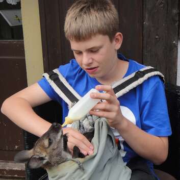 F175 Stiftung Wunderlampe_Kängurus_Nenzlingen_3