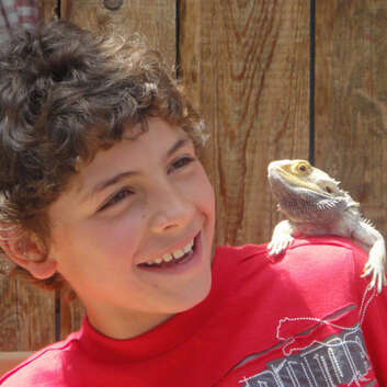 F39 Lampe magique_Zoo Rothenburg_1